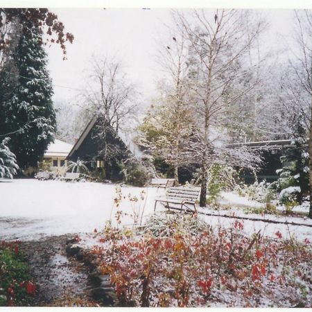 Mountain View Holiday Retreat Harrietville Exterior photo