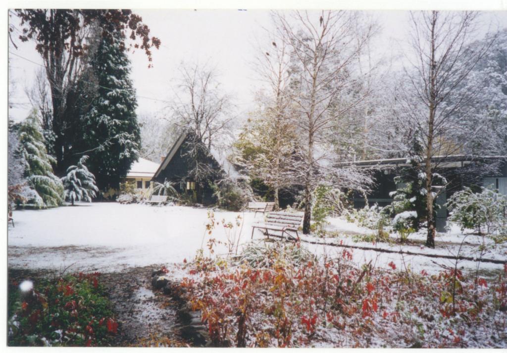 Mountain View Holiday Retreat Harrietville Exterior photo